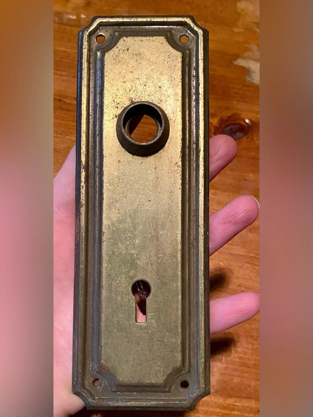 Antique Brass Door Plate - Aged Brass Finish